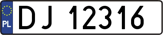 DJ12316
