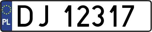 DJ12317