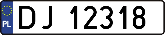 DJ12318