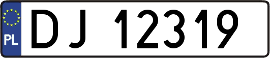 DJ12319