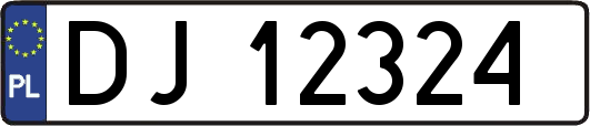DJ12324
