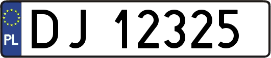 DJ12325
