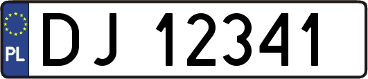 DJ12341