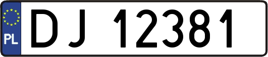 DJ12381