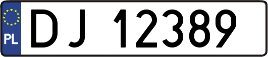 DJ12389