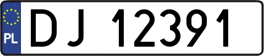 DJ12391