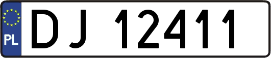 DJ12411