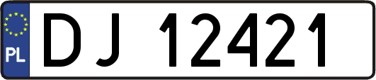 DJ12421
