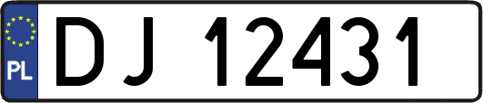 DJ12431