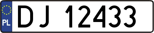 DJ12433