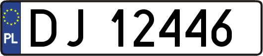 DJ12446