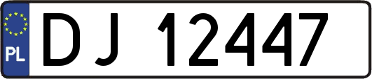 DJ12447