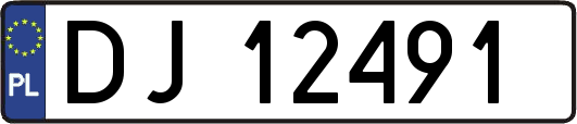 DJ12491