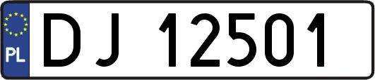 DJ12501