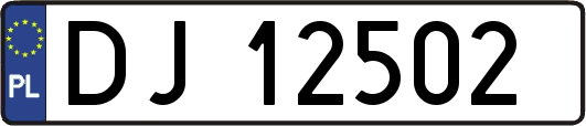 DJ12502