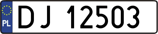 DJ12503