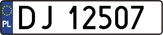 DJ12507