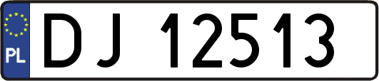 DJ12513