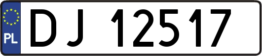 DJ12517