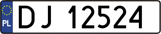 DJ12524