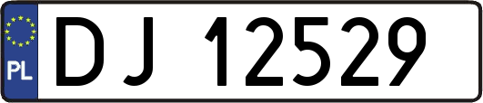 DJ12529