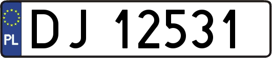 DJ12531
