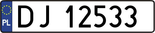 DJ12533
