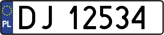 DJ12534