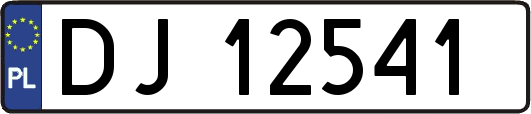 DJ12541