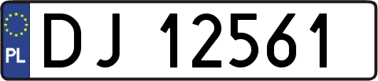 DJ12561