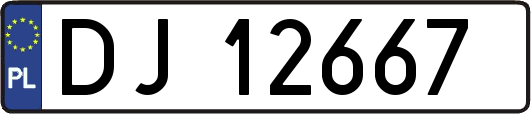DJ12667