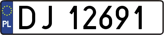 DJ12691