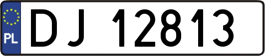 DJ12813