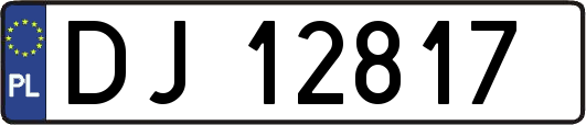DJ12817