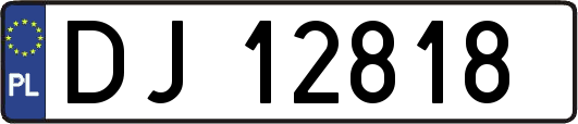 DJ12818