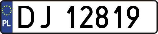 DJ12819