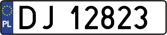 DJ12823