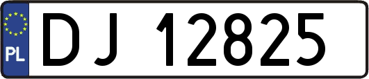 DJ12825