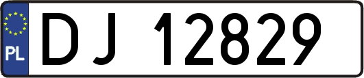 DJ12829