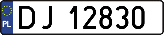 DJ12830