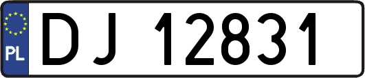 DJ12831