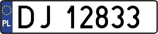 DJ12833