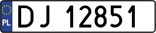 DJ12851