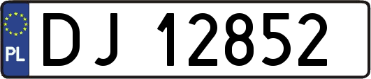 DJ12852