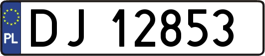 DJ12853