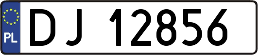DJ12856