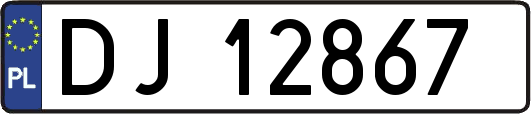 DJ12867
