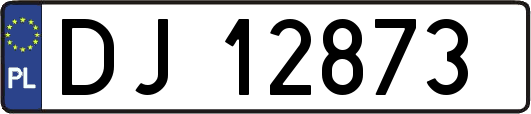 DJ12873