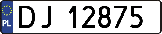 DJ12875