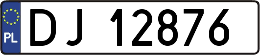 DJ12876